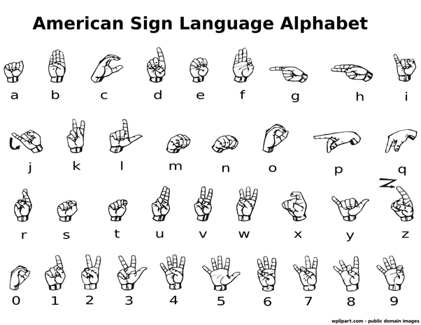 About how long does it take to learn a sign language?