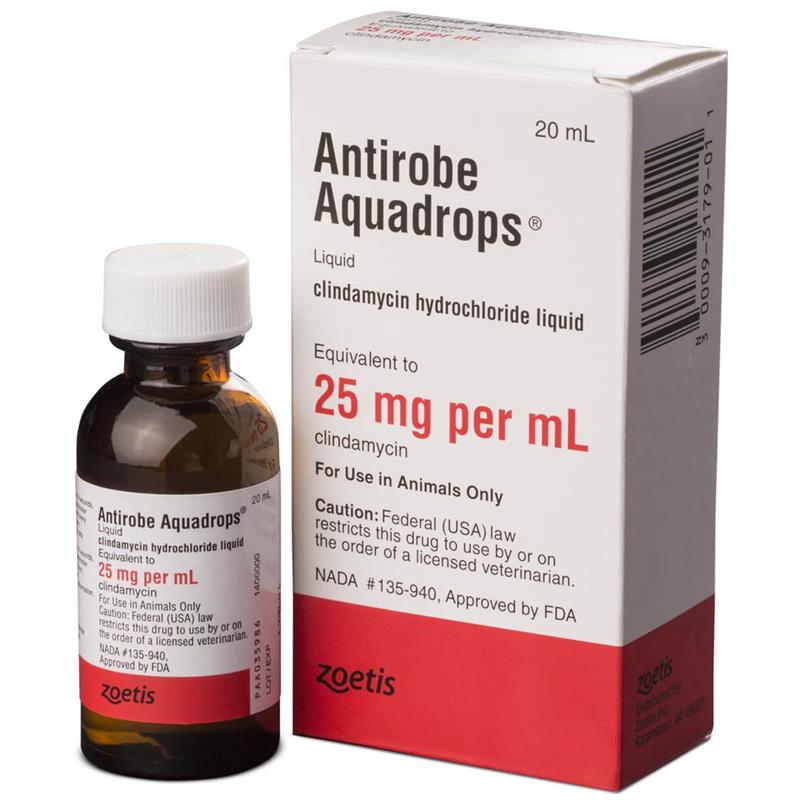 Antirobe Clindamycin 25 Mg