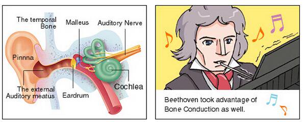 Beethoven (nearly deaf) discovered bone conduction as a ...