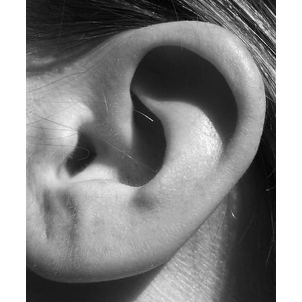 Causes of Shrill High Pitched Ringing in Ears