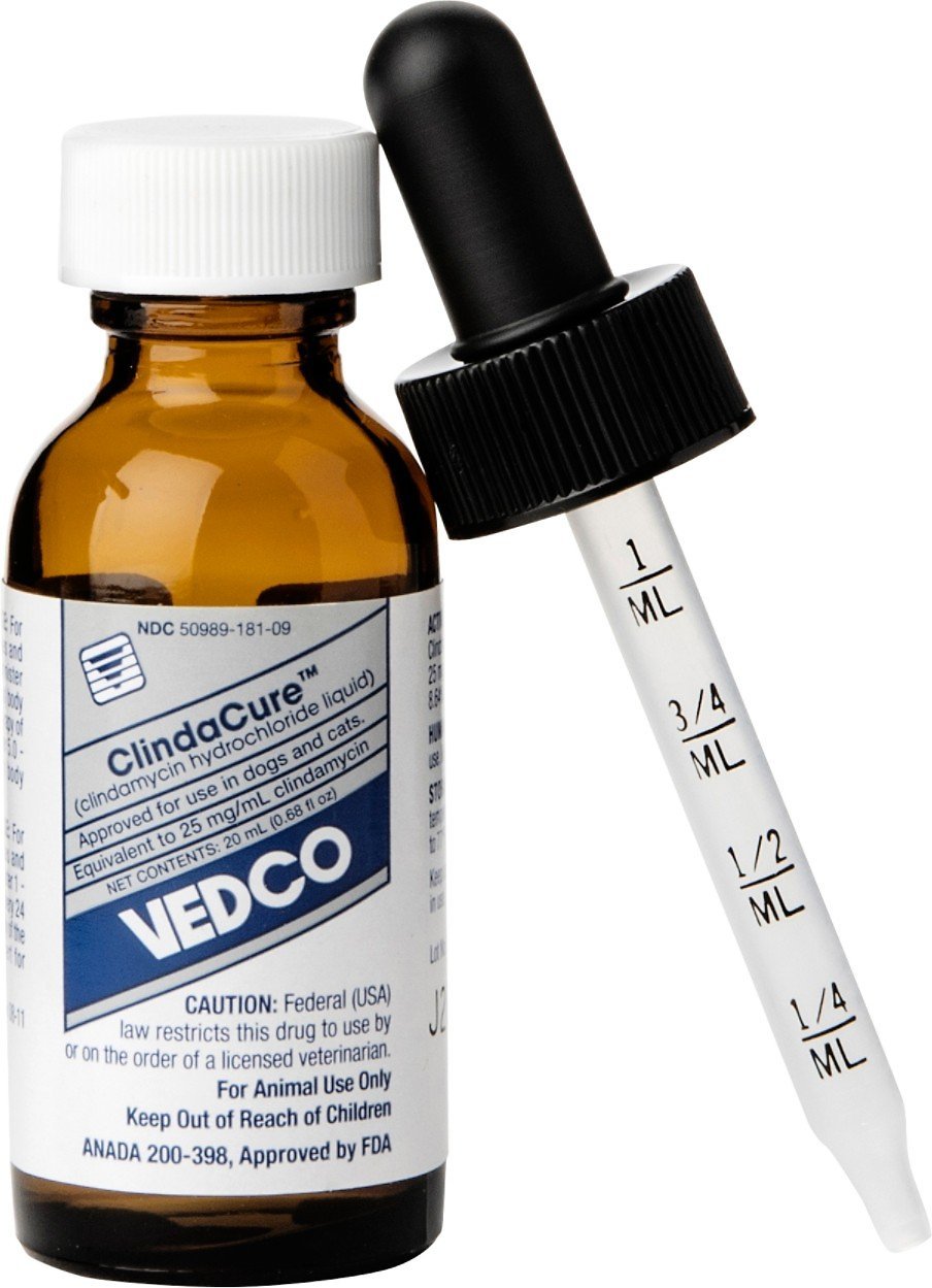 ClindaCure (Clindamycin Hydrochloride) Oral Drops for Dogs ...