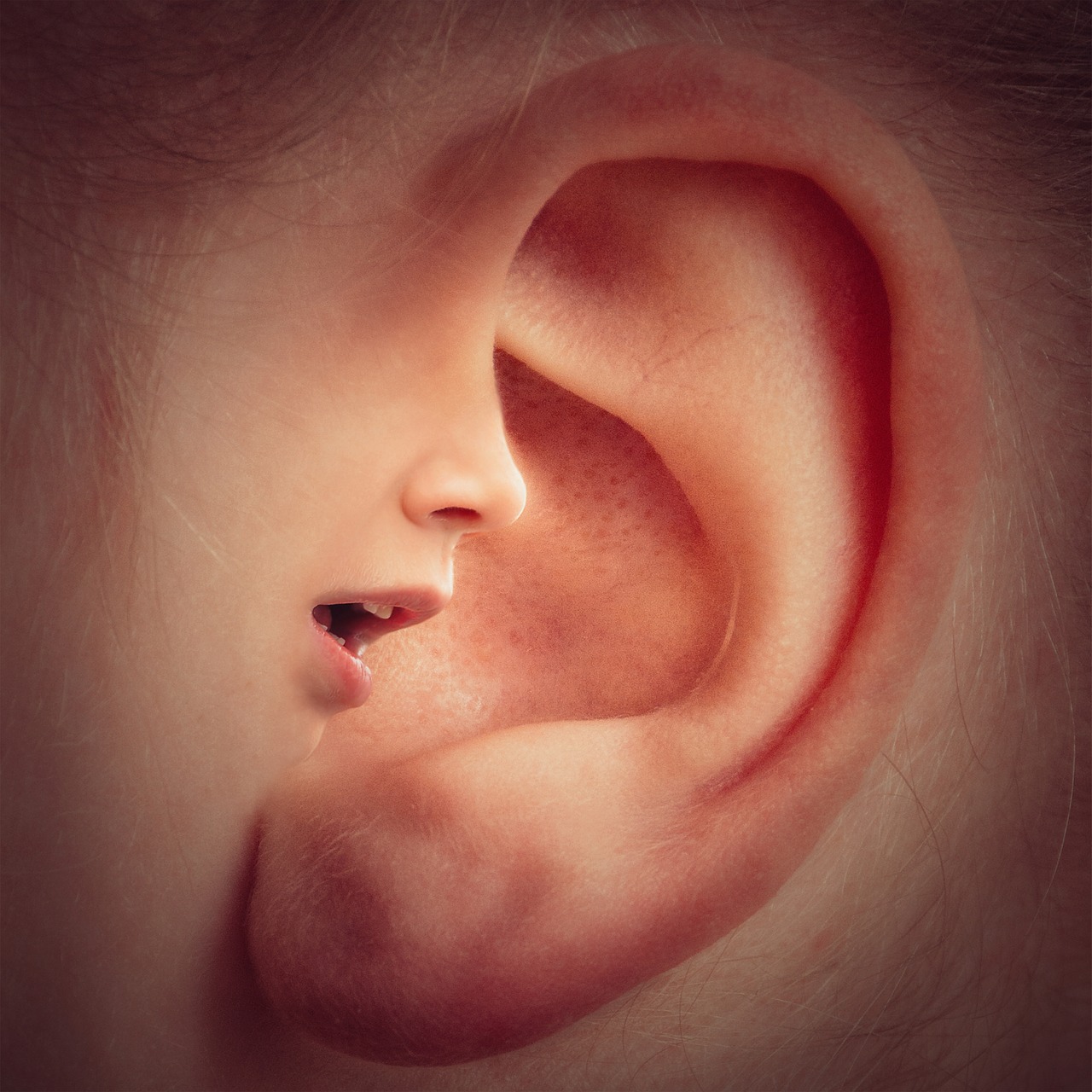 Constant ringing in ears â Causes, Symptoms, and Treatment â The Health ...