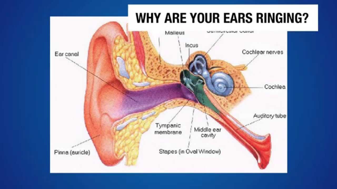 Cure for Tinnitus