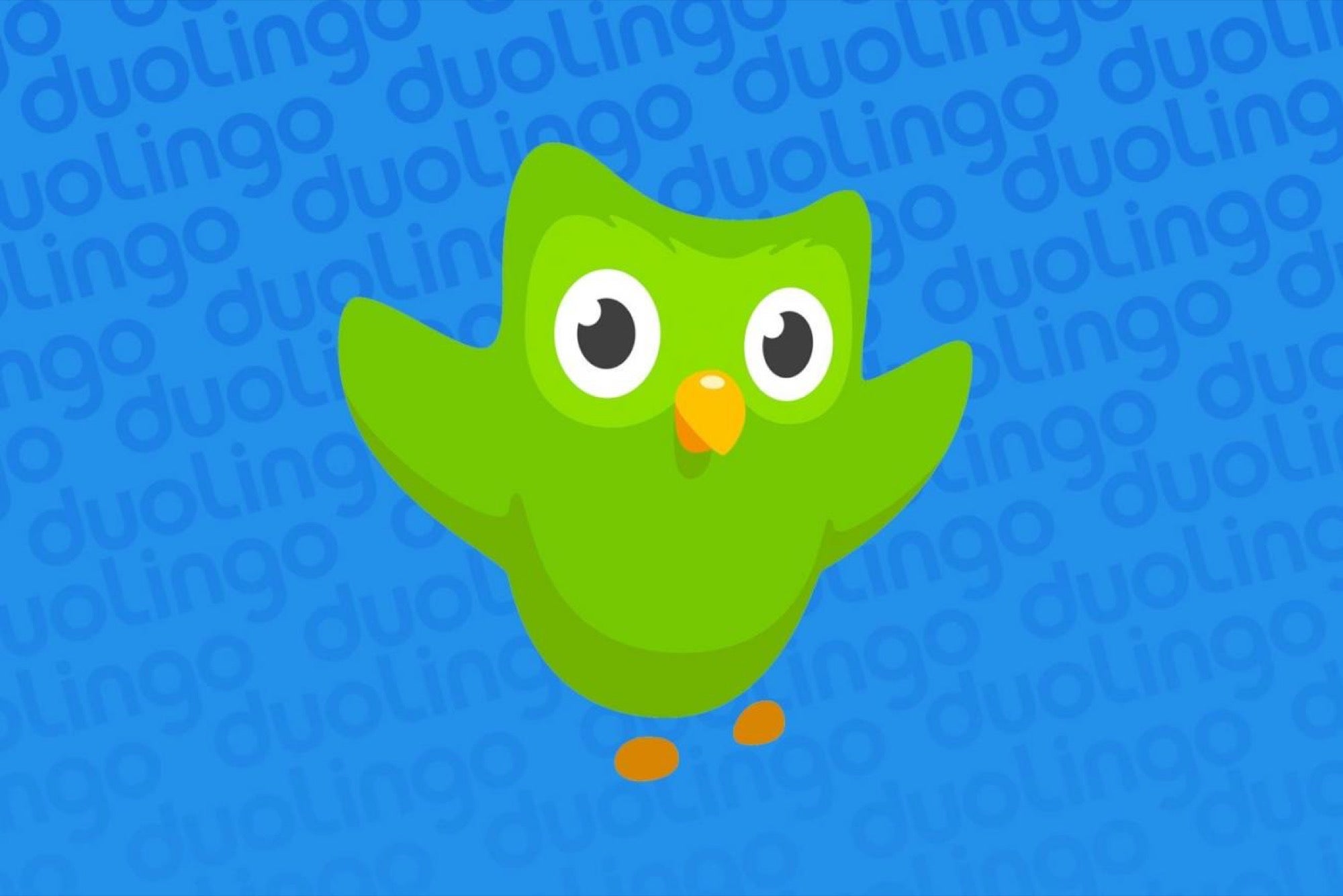 Duolingo, the Chart