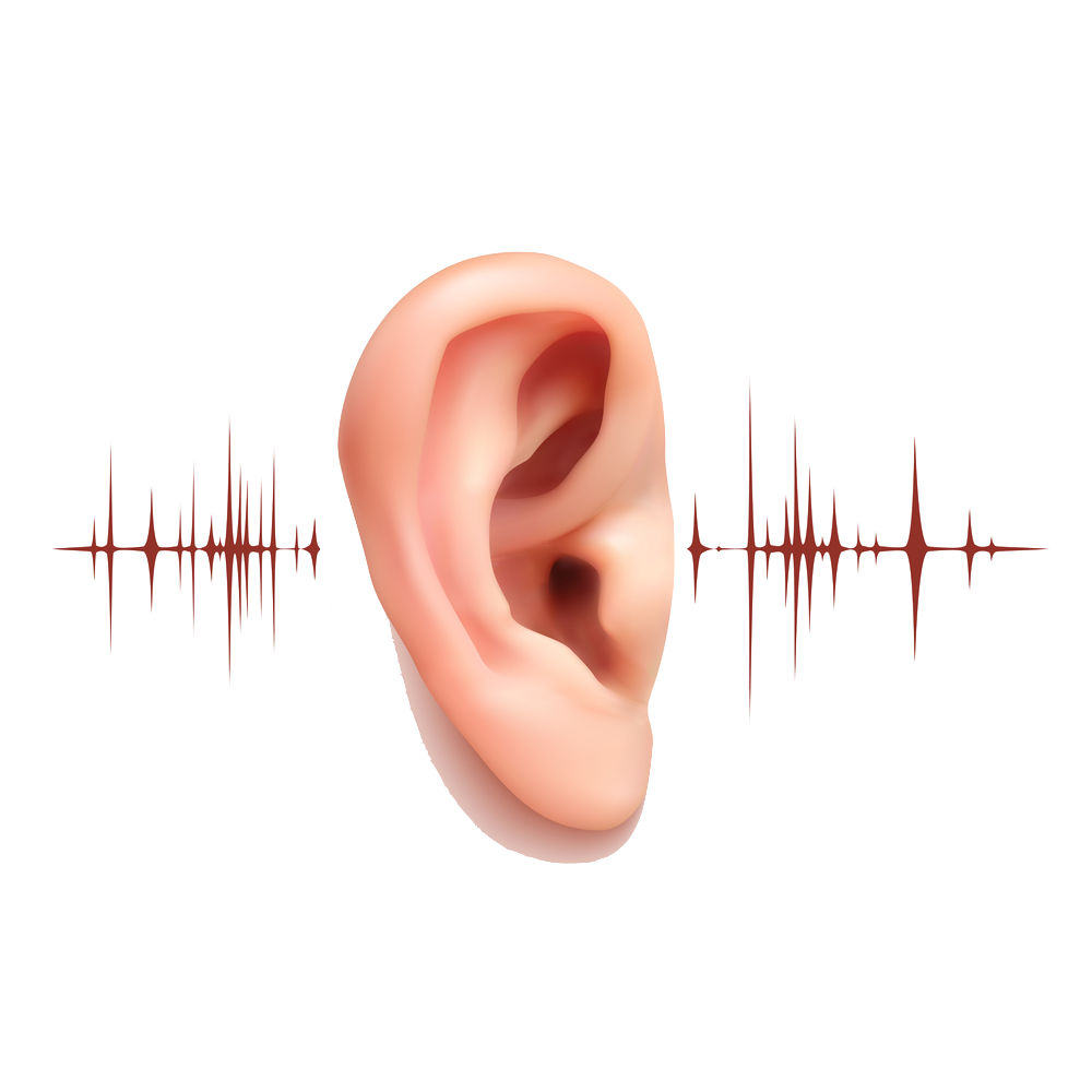 Hearing Loss Overview