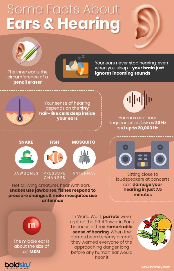 Hearing Loss: Types, Causes, Symptoms, Risk Factors ...