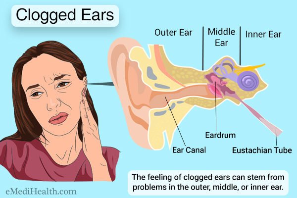 How Do You Drain Your Ears And Sinuses