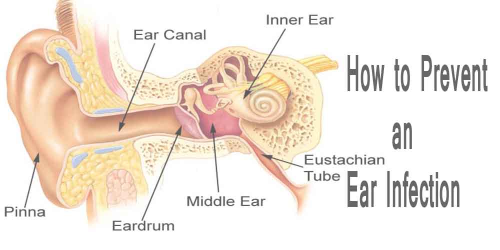 How to Prevent an Ear Infection