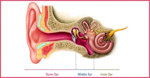 How to Restore Hearing loss in natural way (With images ...