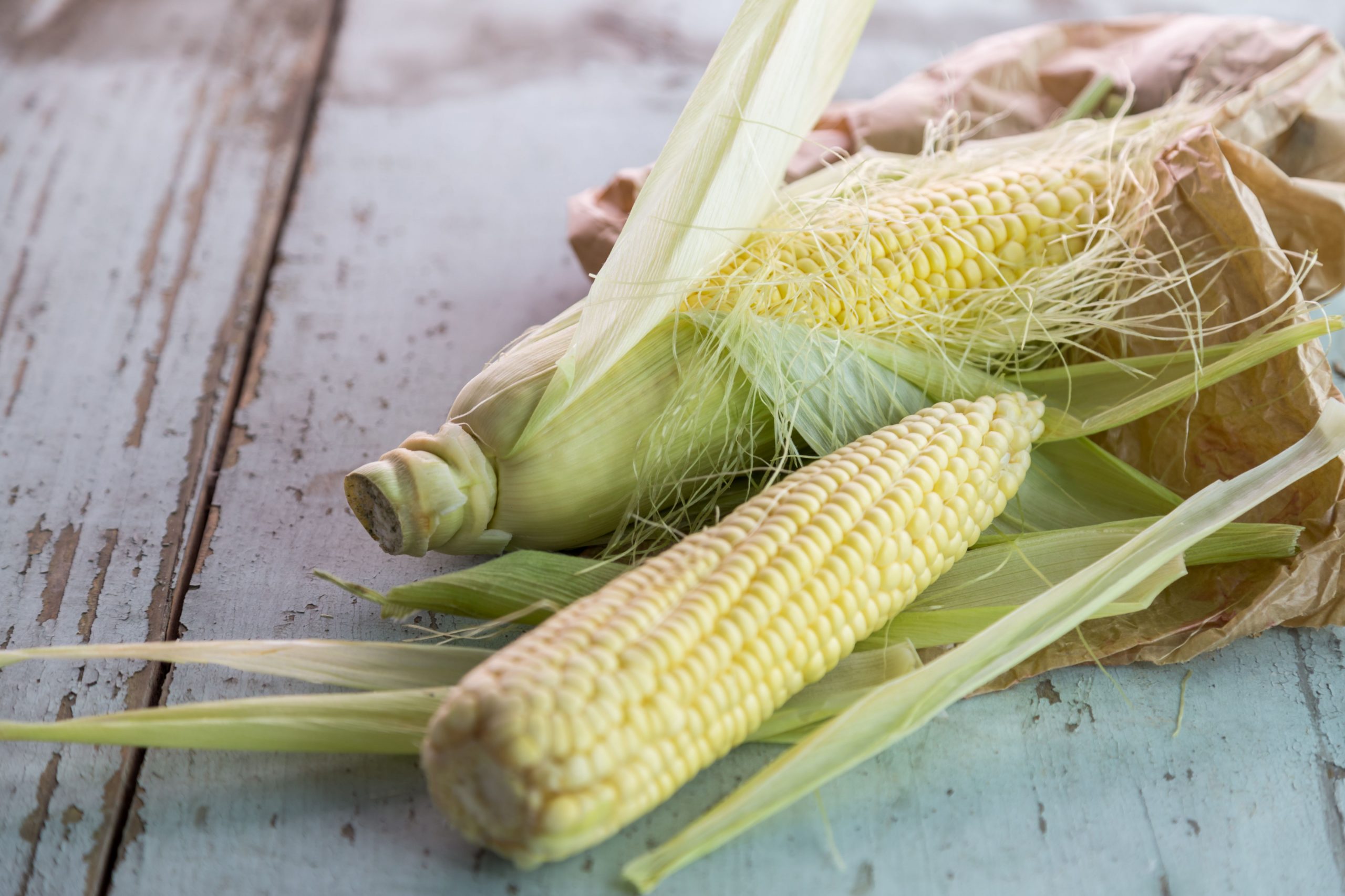 How to Shuck Corn With Ease