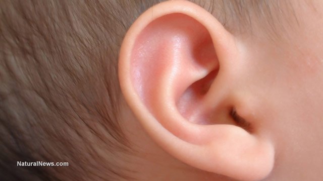 Inner and outer ear infections home remedies