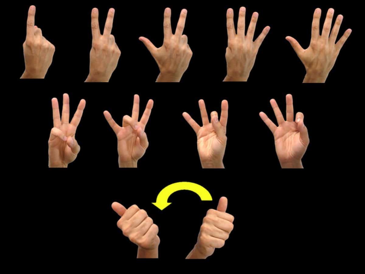 International Sign Languages  Robert Traynor