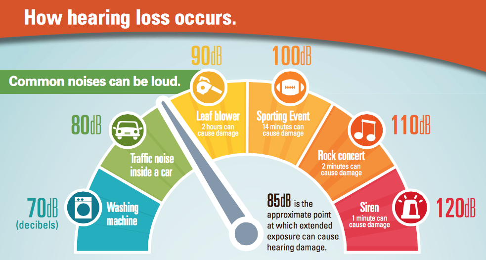 Leaf Blowers & Threats to Hearing Signal Spring