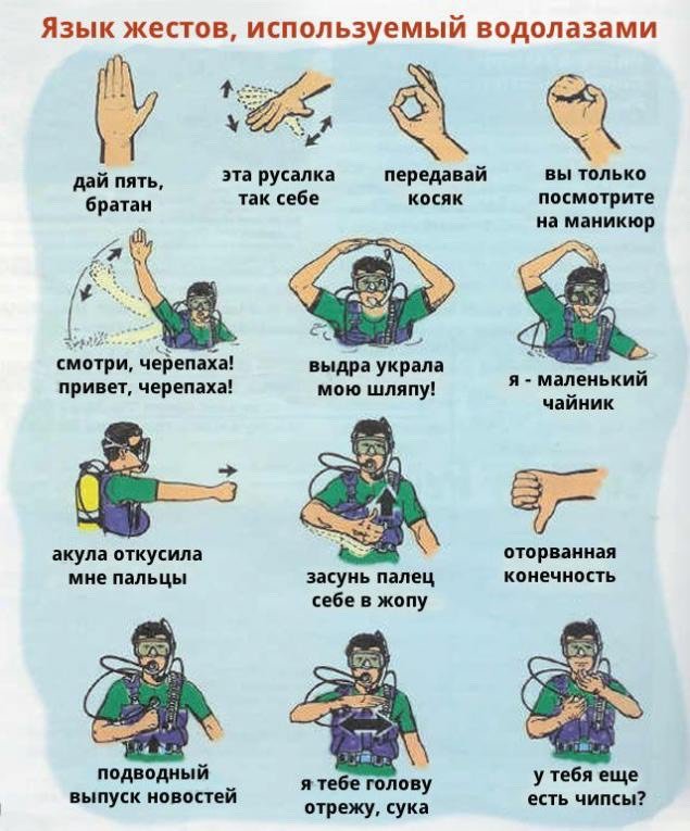 Learning The Basics To Sign Language ðð?»