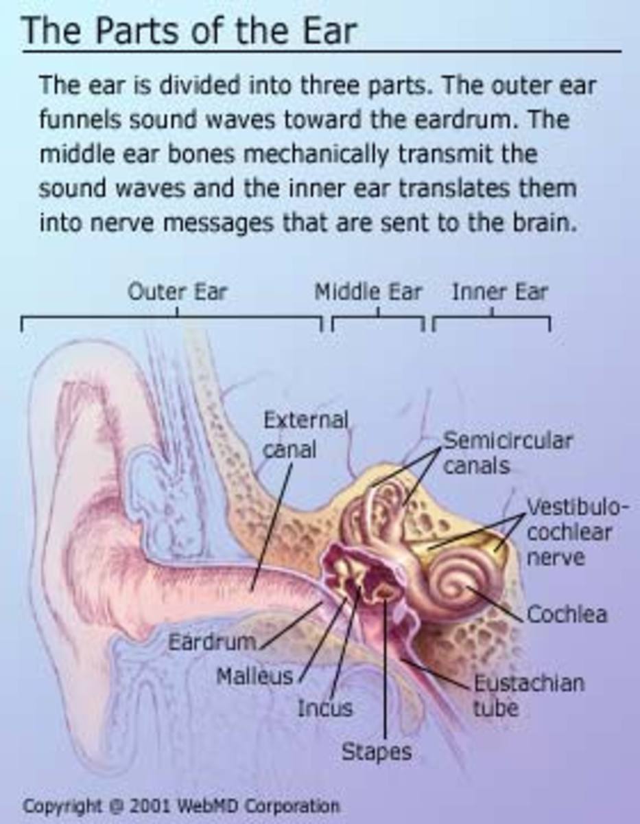 My Personal Experience With Tinnitus