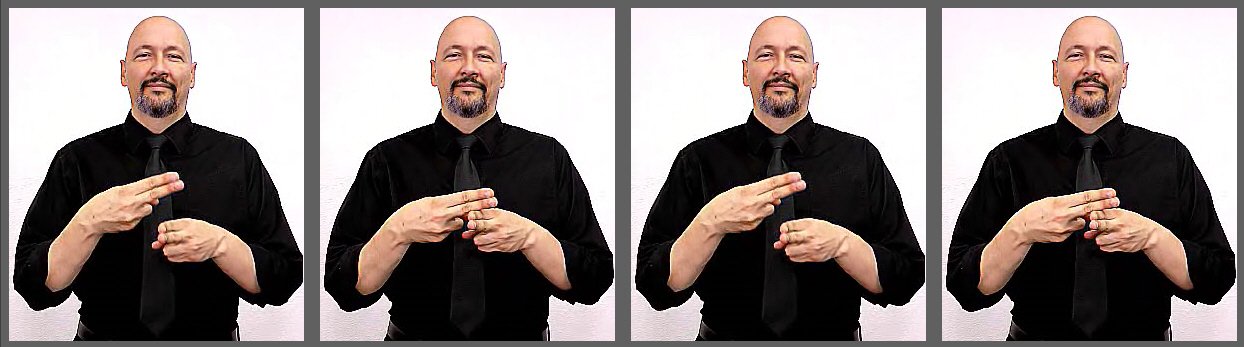 " name"  American Sign Language (ASL)
