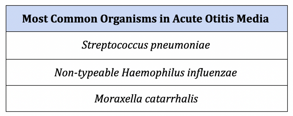 Prevalence of Streptococcus pneumoniae and Nontypeable ...