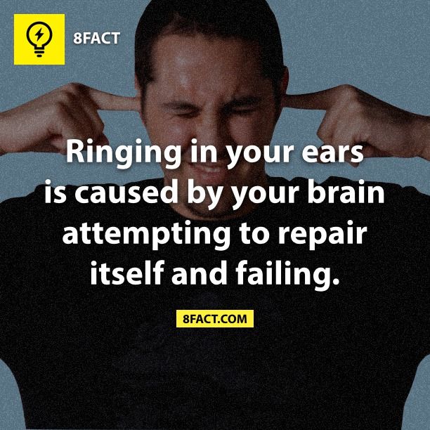 Ringing in your ears is caused by your brain attempting to repair ...
