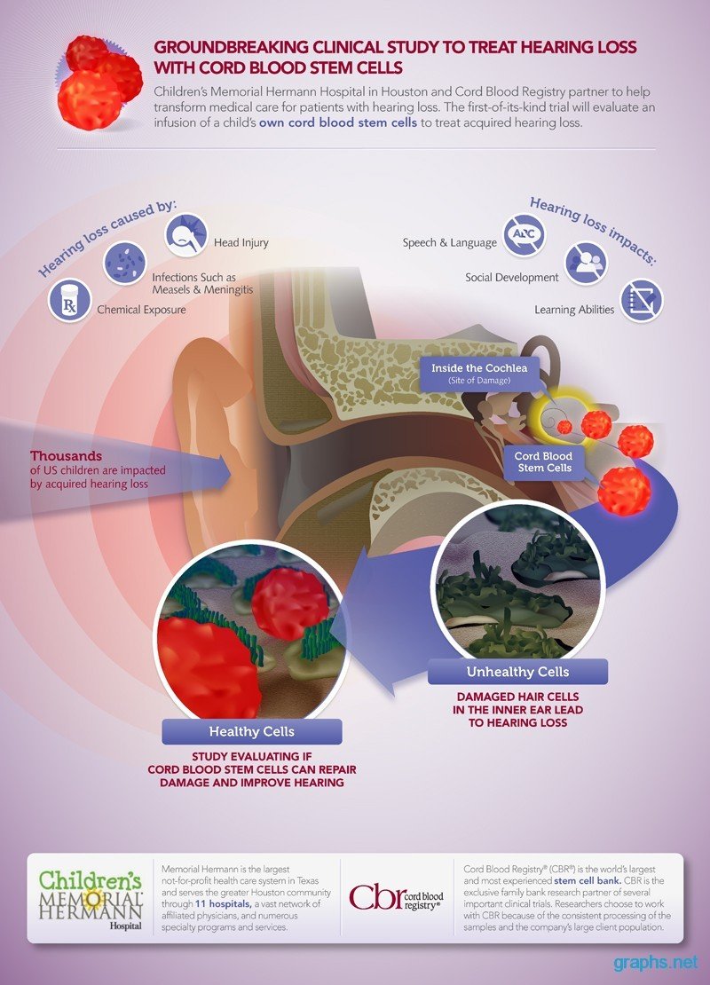 Stem Cell Cure for Hearing Loss (InfoGraphic ...