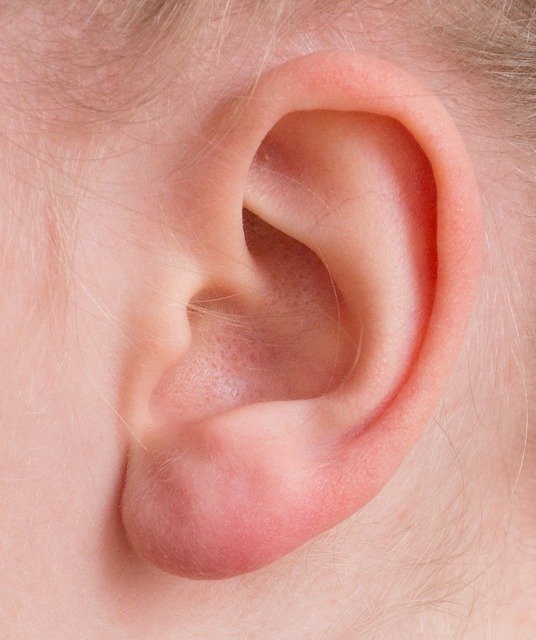 Stoping the Ringing in Your Ears: How To Manage Tinnitus