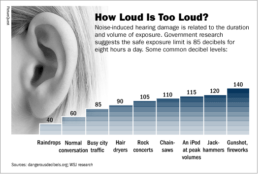 Temporary and Long Term Noise Induced Hearing Loss ...