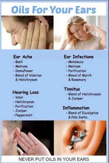 Tinnitus Ear Disease Because Tinnitus Allergies  ATHENEUM ...