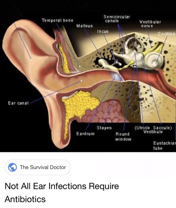 What is the best antibiotic for an ear infection?