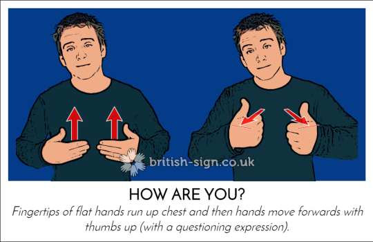 Whittaker Live: British Sign Language Dictionary
