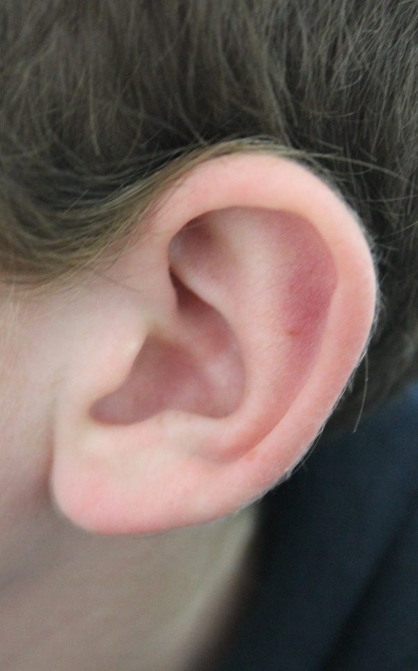 Why is there a curve in the ear canal?